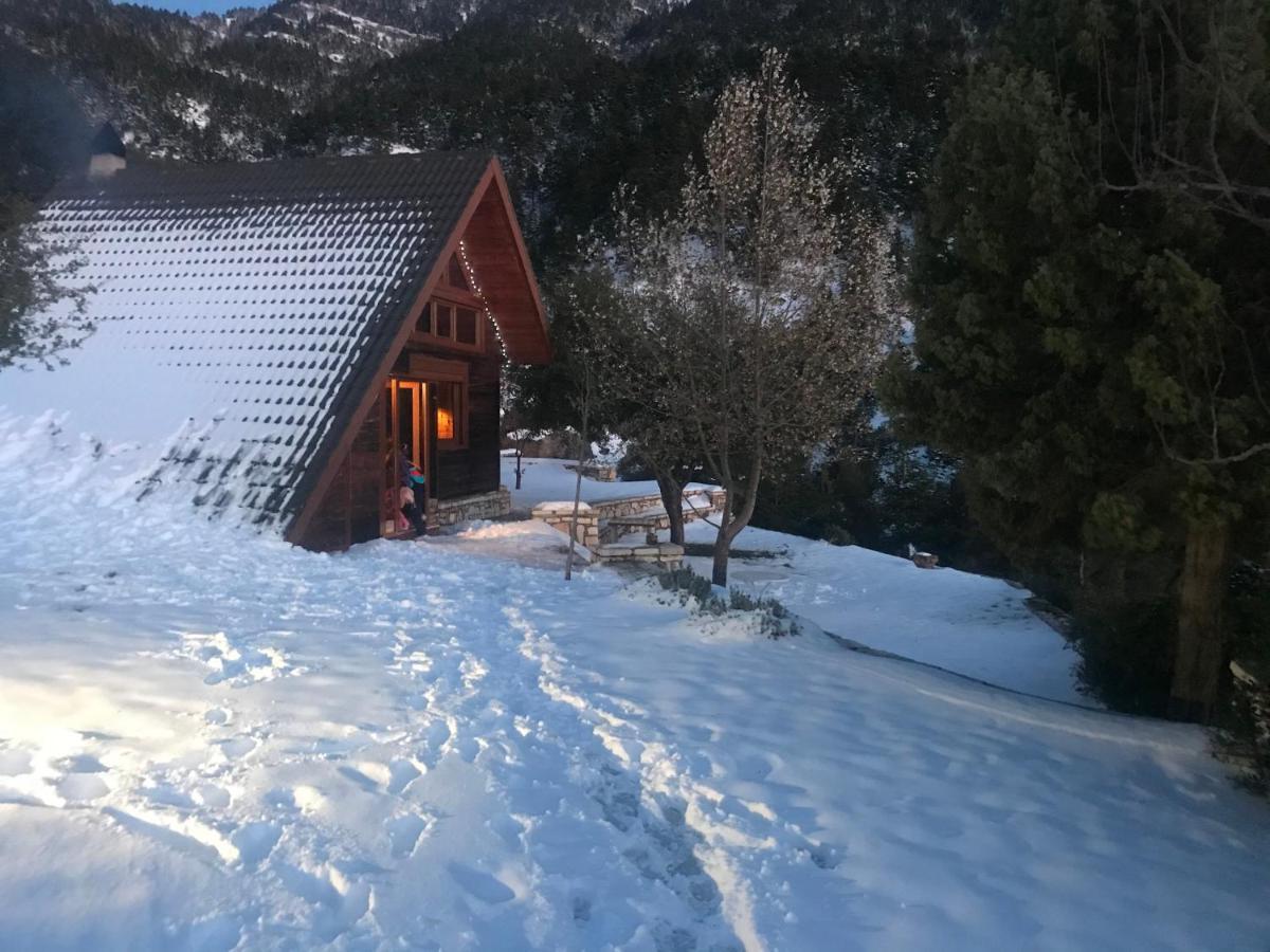 Chalet In The Forest كالافريتا المظهر الخارجي الصورة