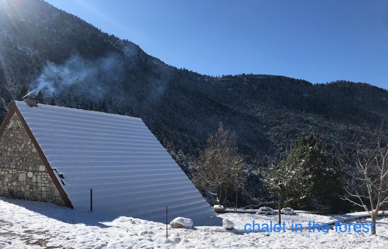 Chalet In The Forest كالافريتا المظهر الخارجي الصورة
