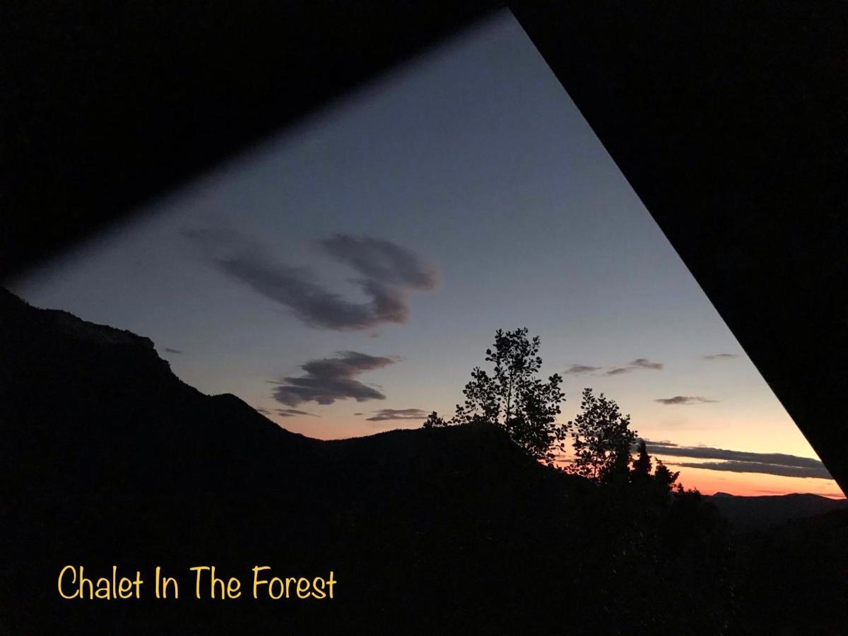 Chalet In The Forest كالافريتا المظهر الخارجي الصورة