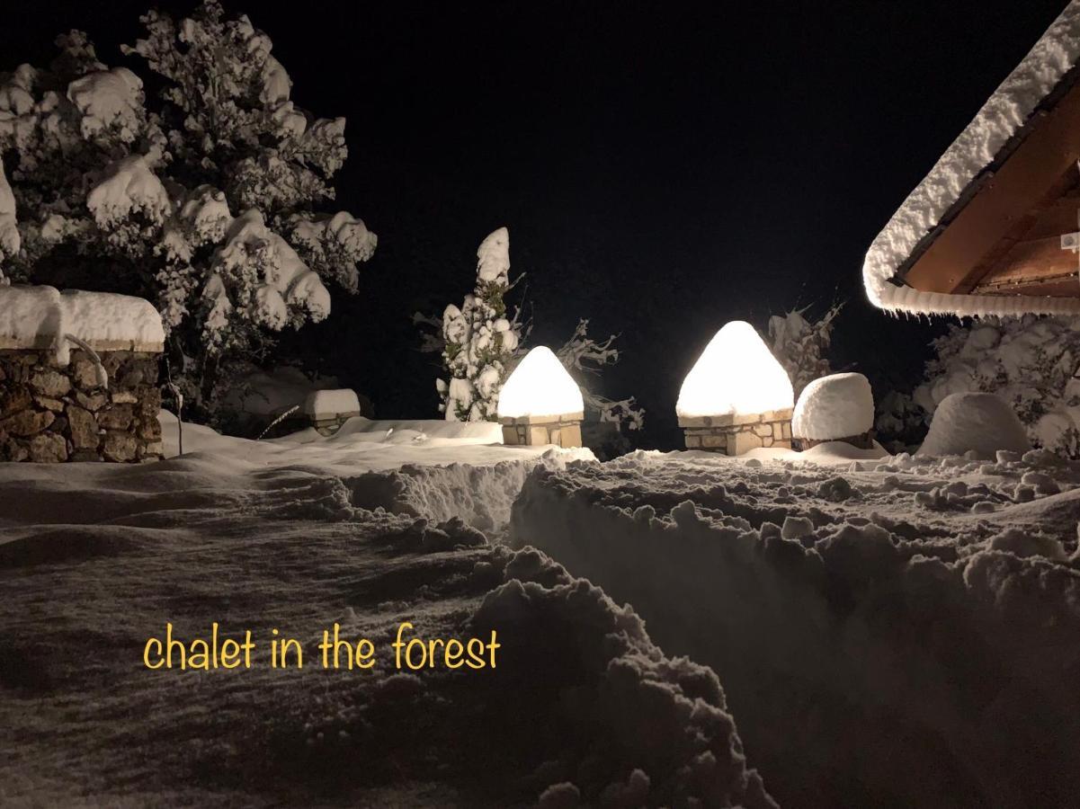 Chalet In The Forest كالافريتا المظهر الخارجي الصورة