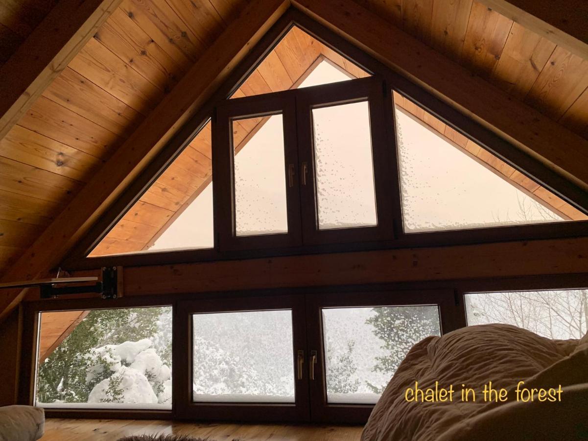 Chalet In The Forest كالافريتا المظهر الخارجي الصورة
