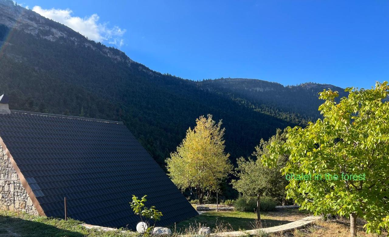 Chalet In The Forest كالافريتا المظهر الخارجي الصورة