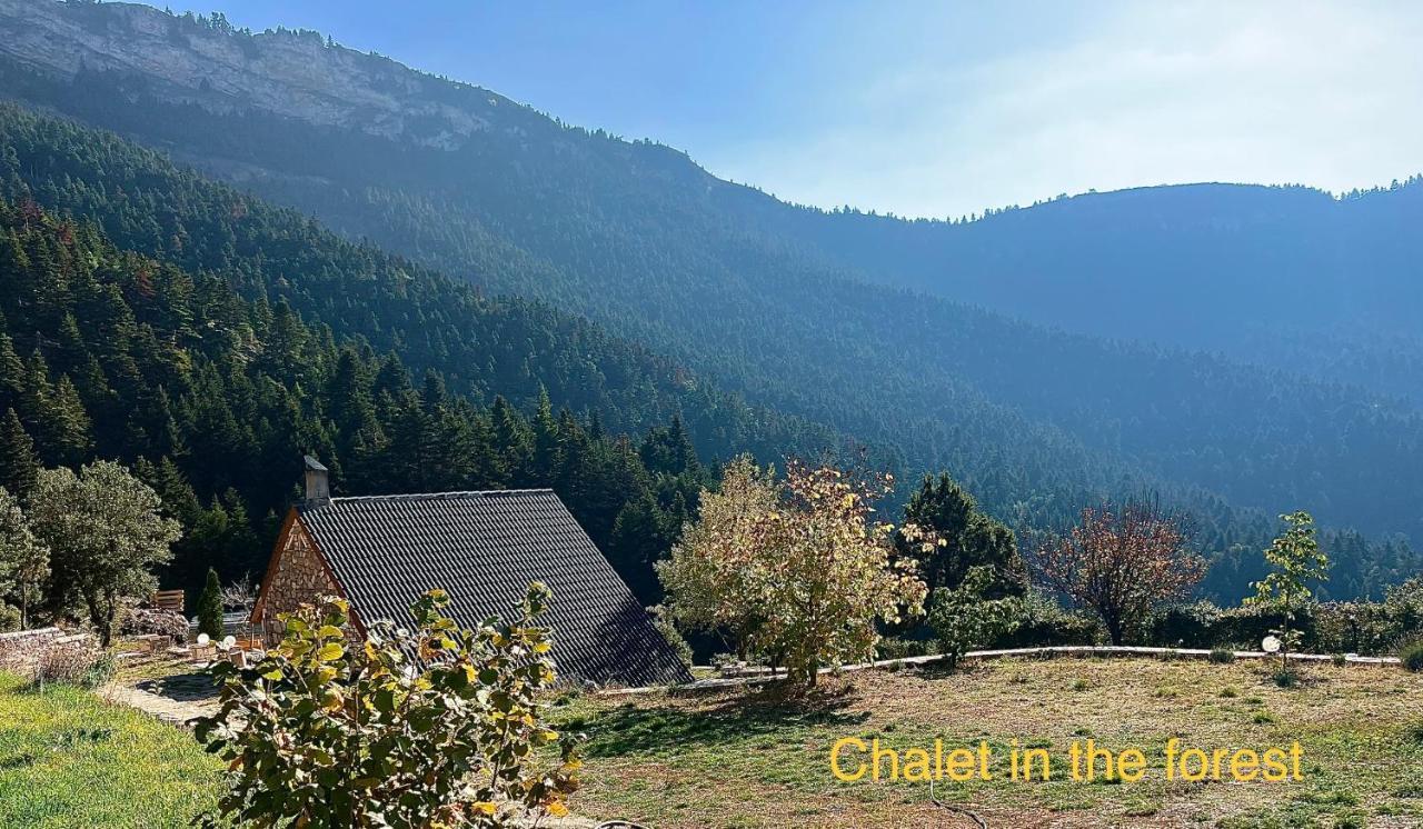 Chalet In The Forest كالافريتا المظهر الخارجي الصورة