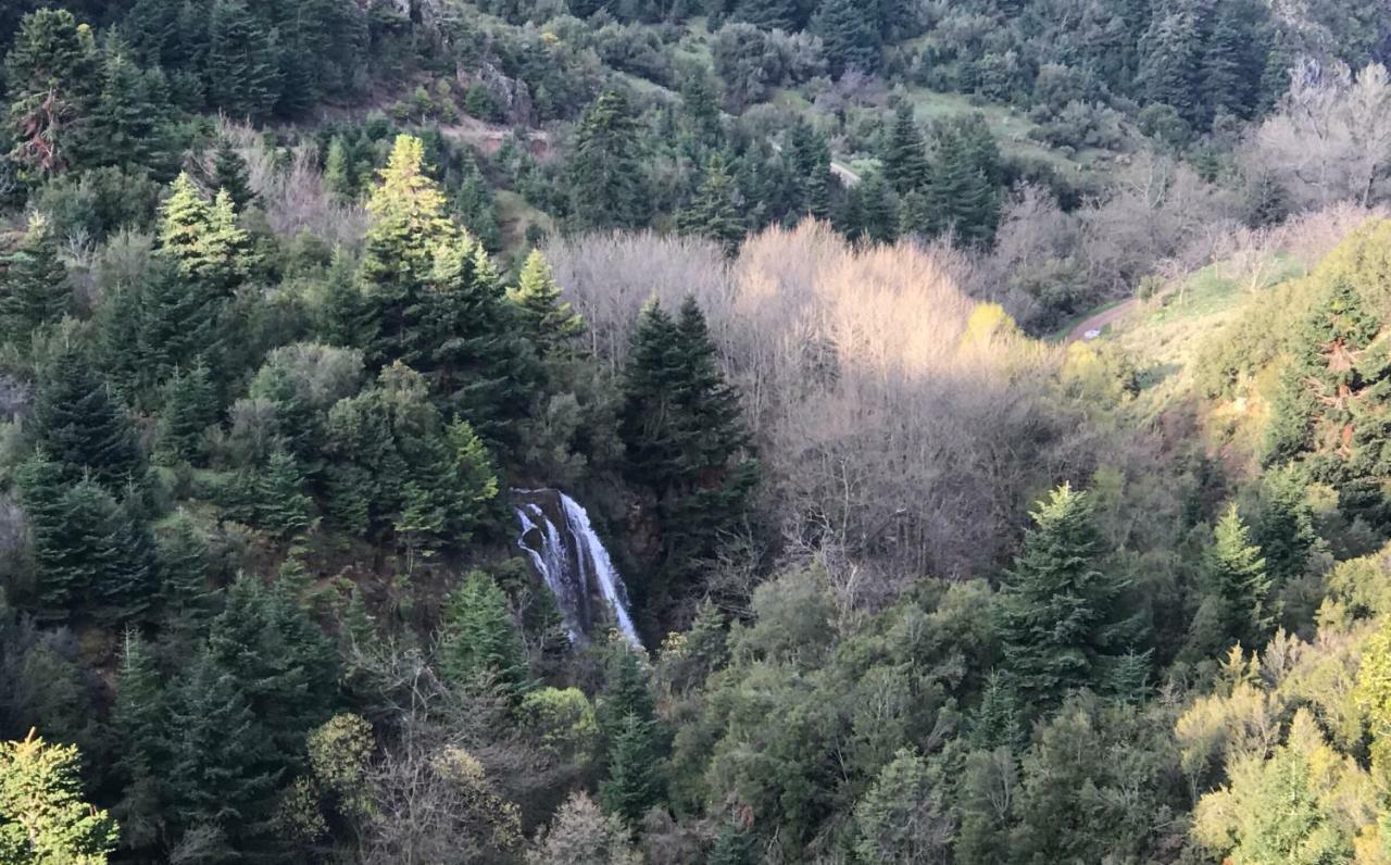 Chalet In The Forest كالافريتا المظهر الخارجي الصورة