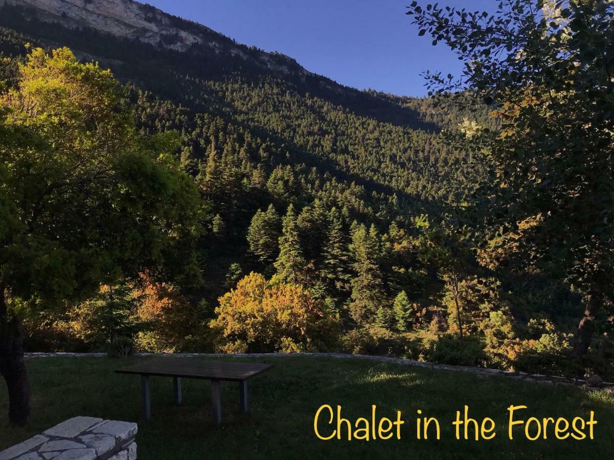 Chalet In The Forest كالافريتا المظهر الخارجي الصورة