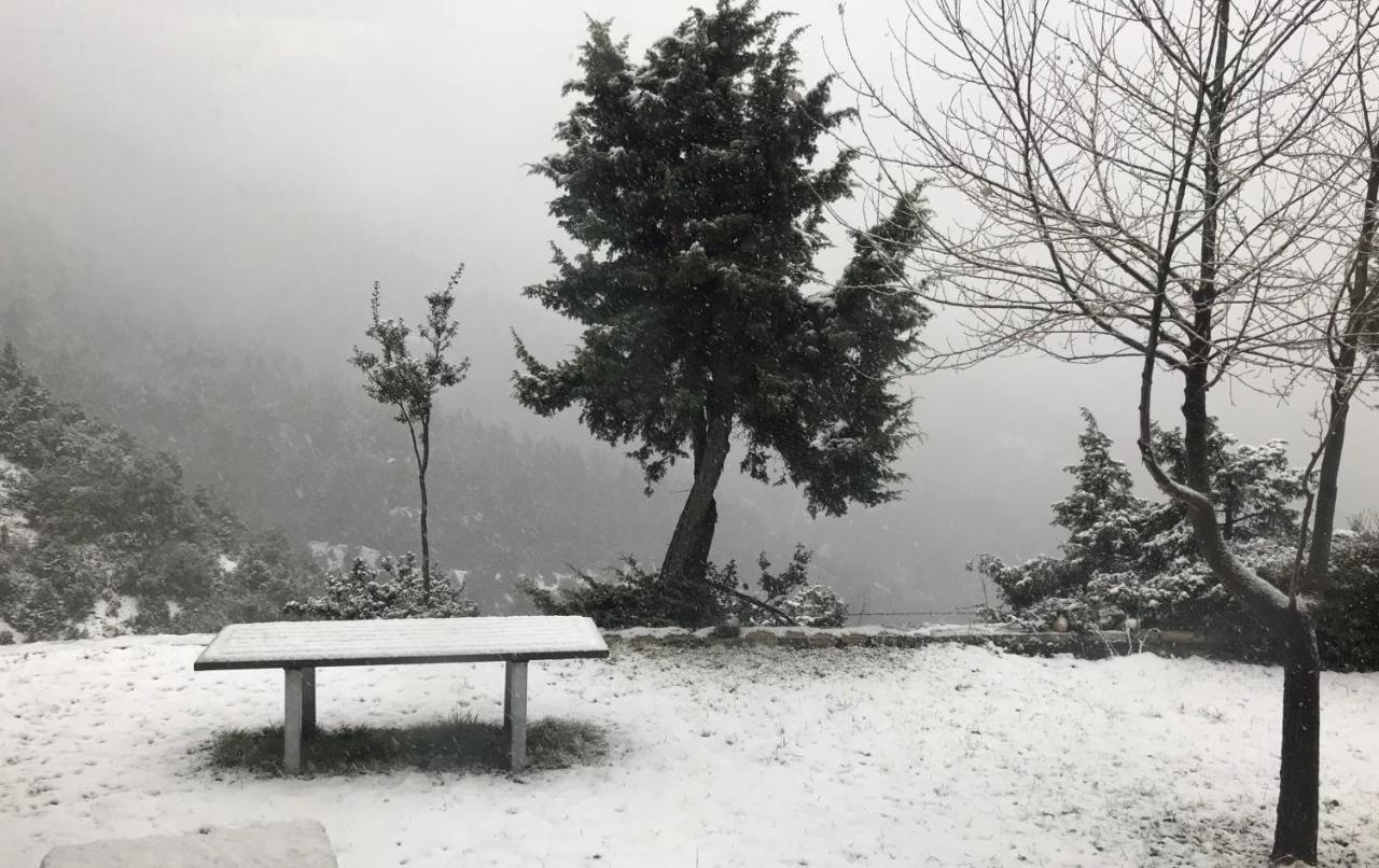 Chalet In The Forest كالافريتا المظهر الخارجي الصورة
