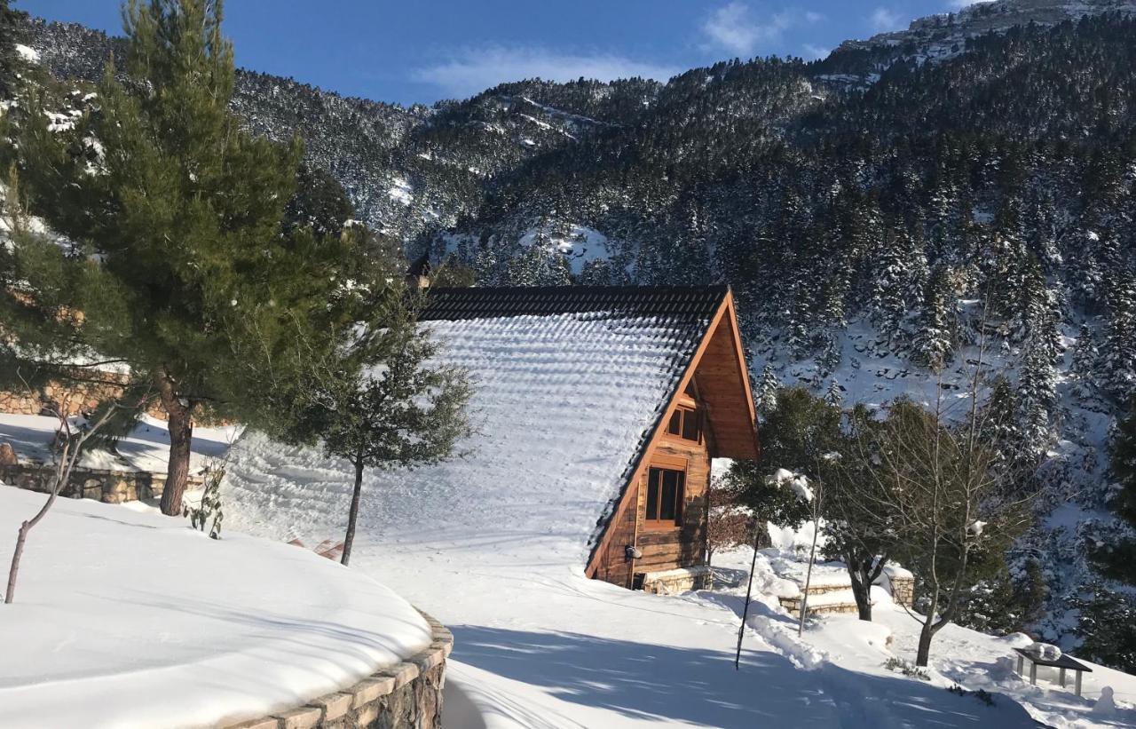 Chalet In The Forest كالافريتا المظهر الخارجي الصورة