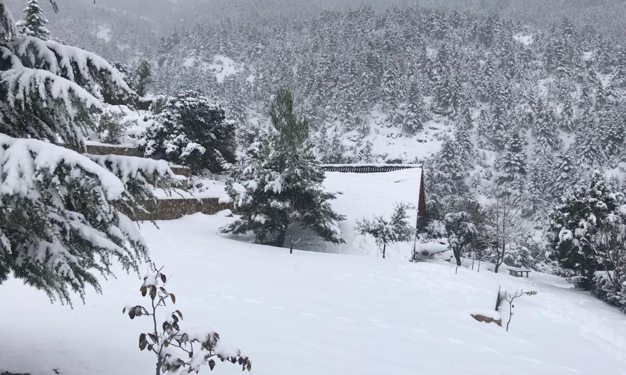 Chalet In The Forest كالافريتا المظهر الخارجي الصورة