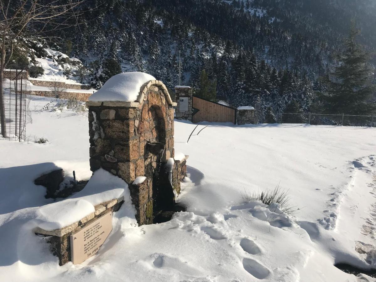 Chalet In The Forest كالافريتا المظهر الخارجي الصورة