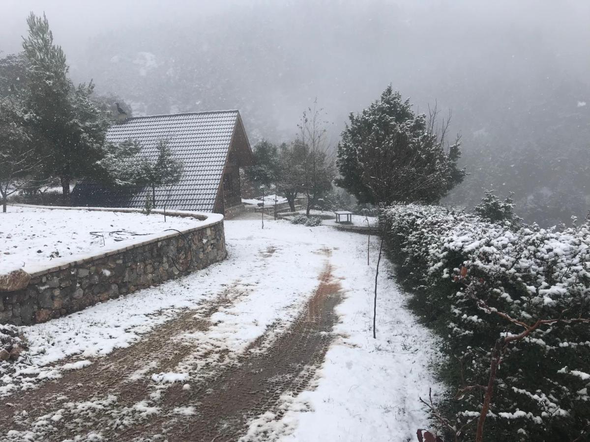Chalet In The Forest كالافريتا المظهر الخارجي الصورة