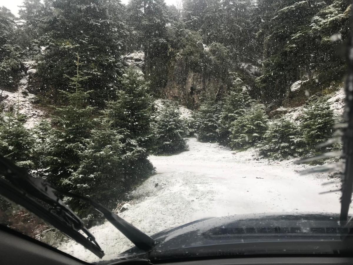 Chalet In The Forest كالافريتا المظهر الخارجي الصورة