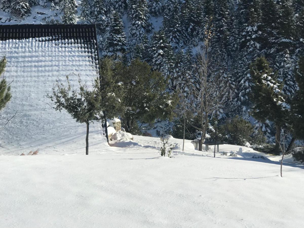Chalet In The Forest كالافريتا المظهر الخارجي الصورة