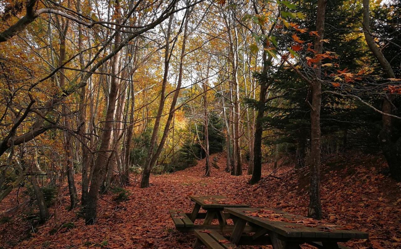 Chalet In The Forest كالافريتا المظهر الخارجي الصورة